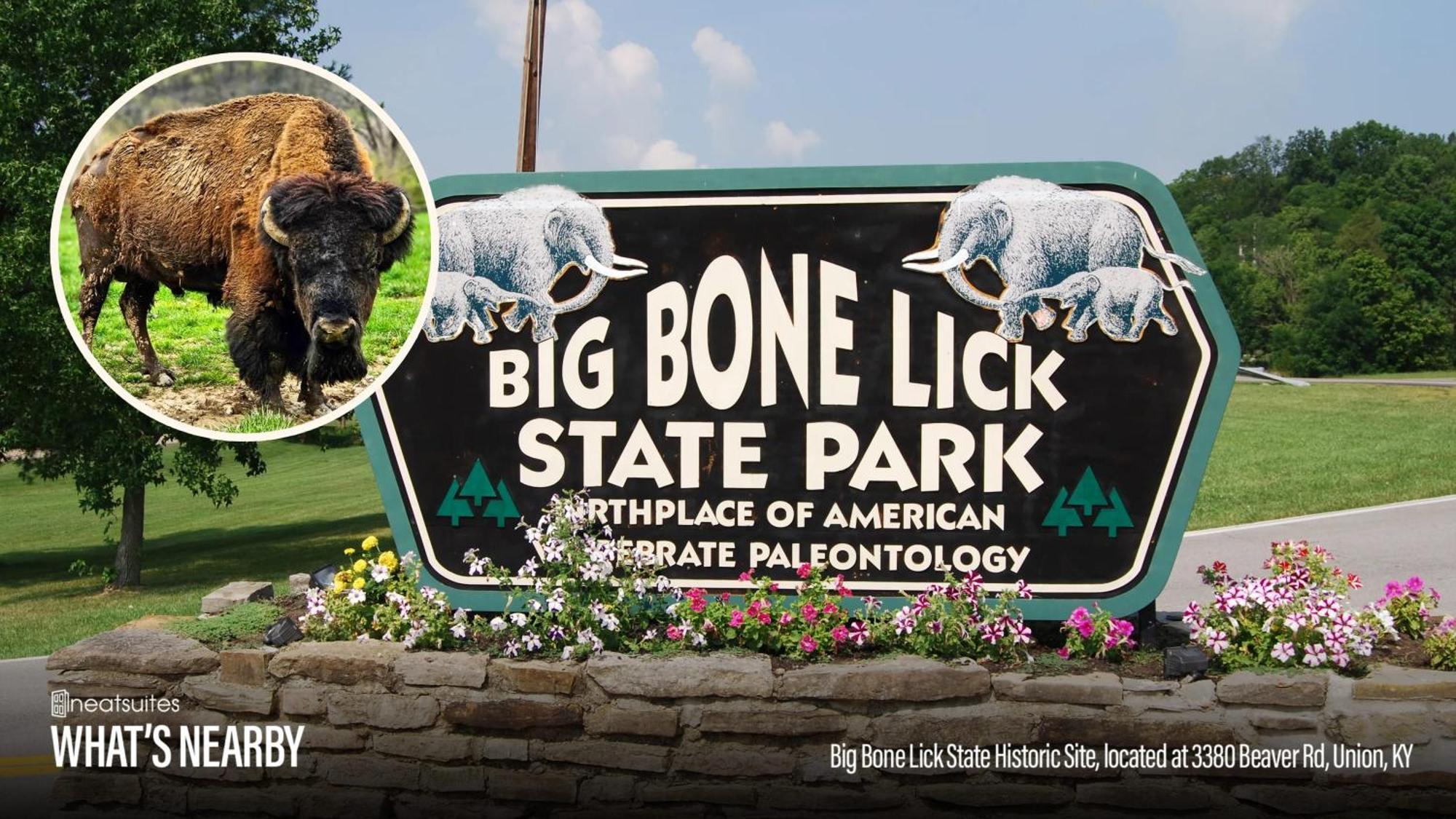 The Lodges At Eden Reserve - Safari Tents Уилямстаун Екстериор снимка